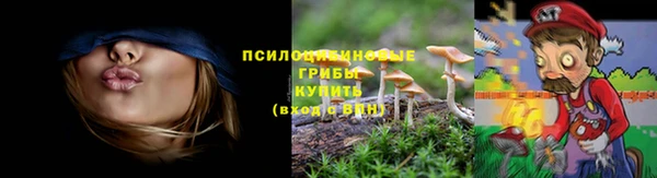 эйфоретик Белокуриха